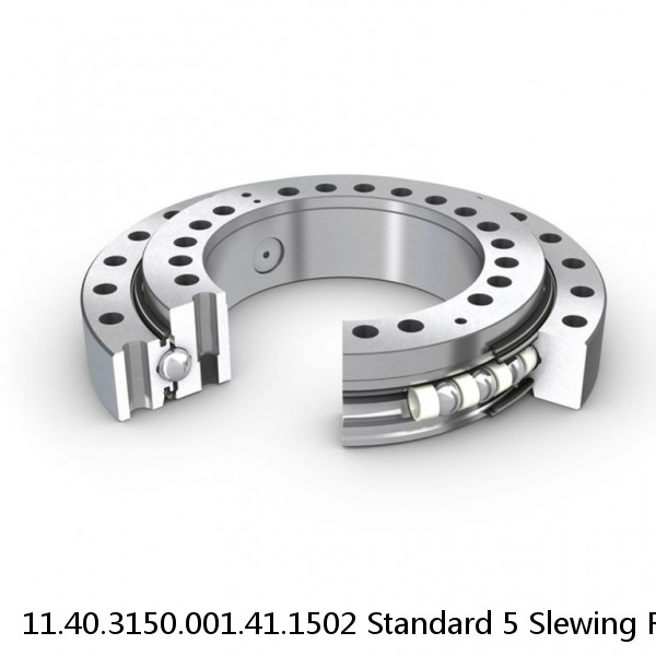 11.40.3150.001.41.1502 Standard 5 Slewing Ring Bearings
