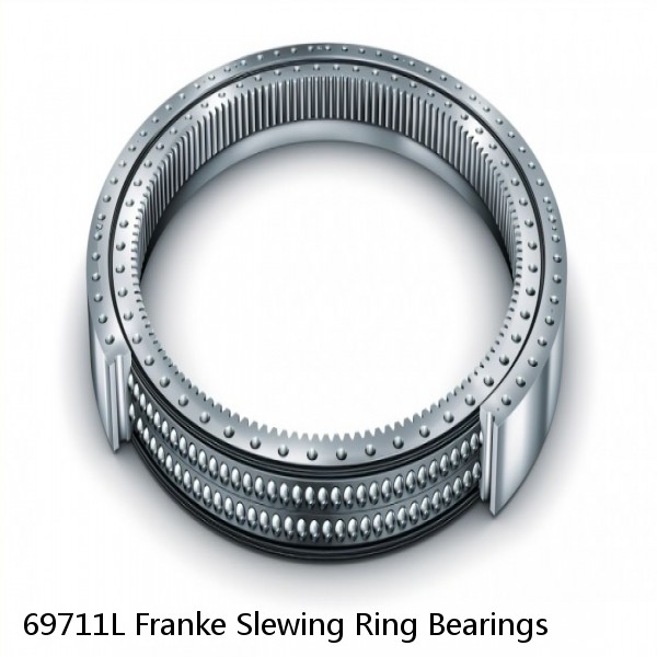 69711L Franke Slewing Ring Bearings