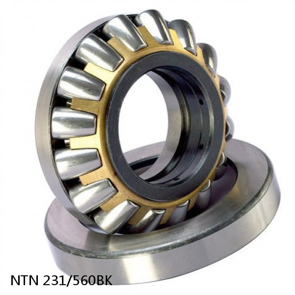 231/560BK NTN Spherical Roller Bearings