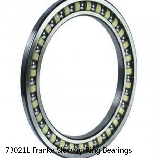 73021L Franke Slewing Ring Bearings