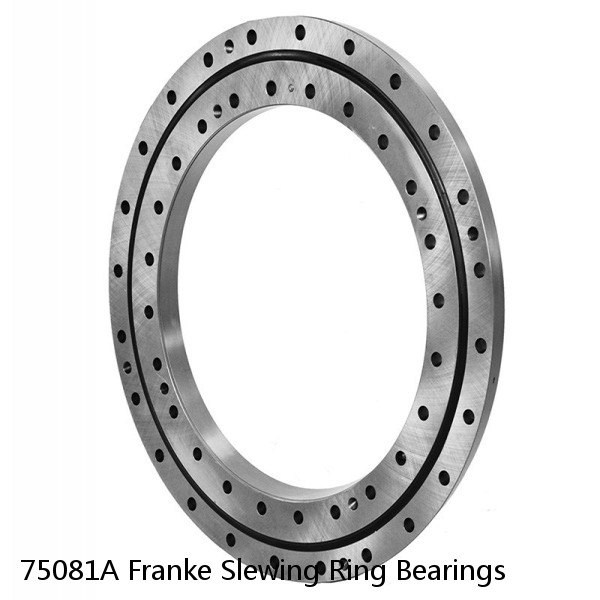75081A Franke Slewing Ring Bearings