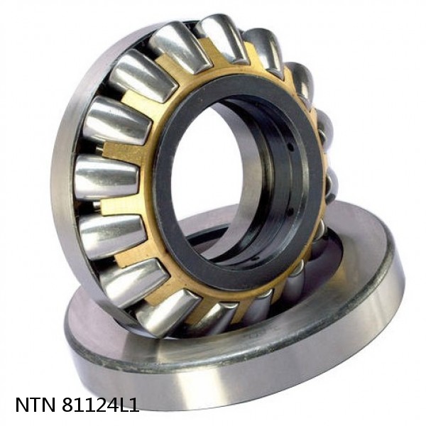 81124L1 NTN Thrust Spherical Roller Bearing #1 small image
