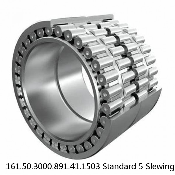 161.50.3000.891.41.1503 Standard 5 Slewing Ring Bearings