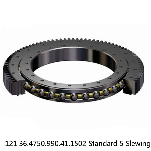 121.36.4750.990.41.1502 Standard 5 Slewing Ring Bearings
