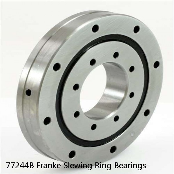 77244B Franke Slewing Ring Bearings