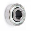 Plastic Pillow Block with Stainless Steel Bearing Ucp207-20
