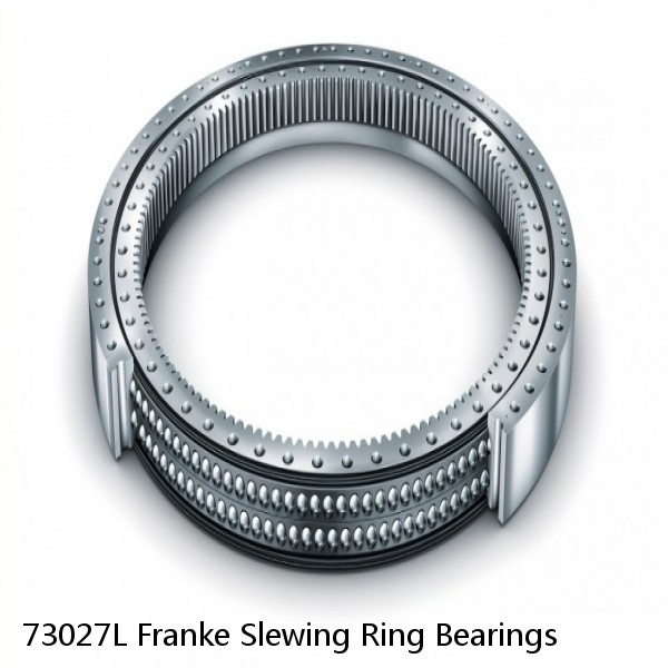 73027L Franke Slewing Ring Bearings #1 image