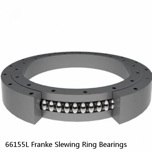 66155L Franke Slewing Ring Bearings #1 image