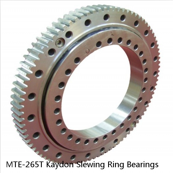 MTE-265T Kaydon Slewing Ring Bearings #1 image