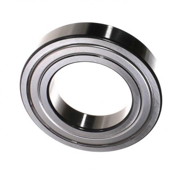Home Appliance Widely Used 6004 2RS Electrical Bearings #1 image